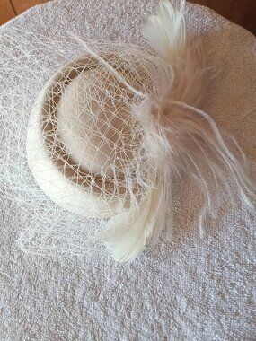 Fascinators Women's Hat Feathers Netting Derby Headband Clip Wedding New